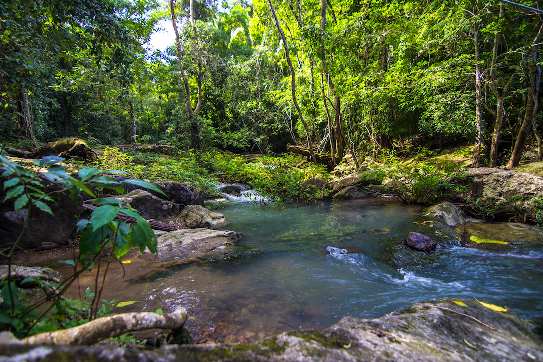 rainforest tour belize